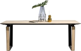 (M) Nowoczesny stół DARWIN 210 x 100 cm